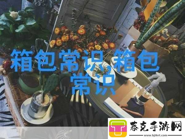 b站推广站