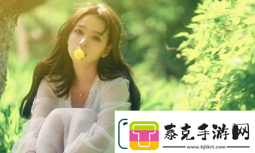 国内永久免费saas