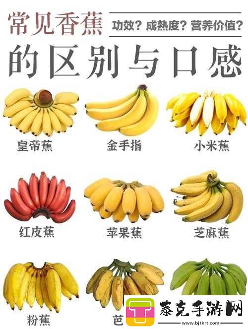 香蕉和忘忧草的区别之形态口感营养等方面的不同之处