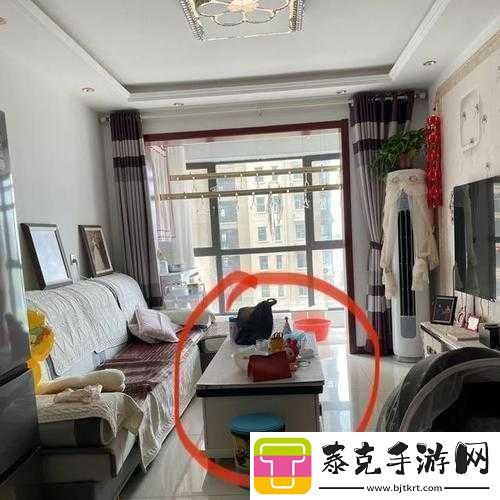 九个装修工人把我放在茶几上