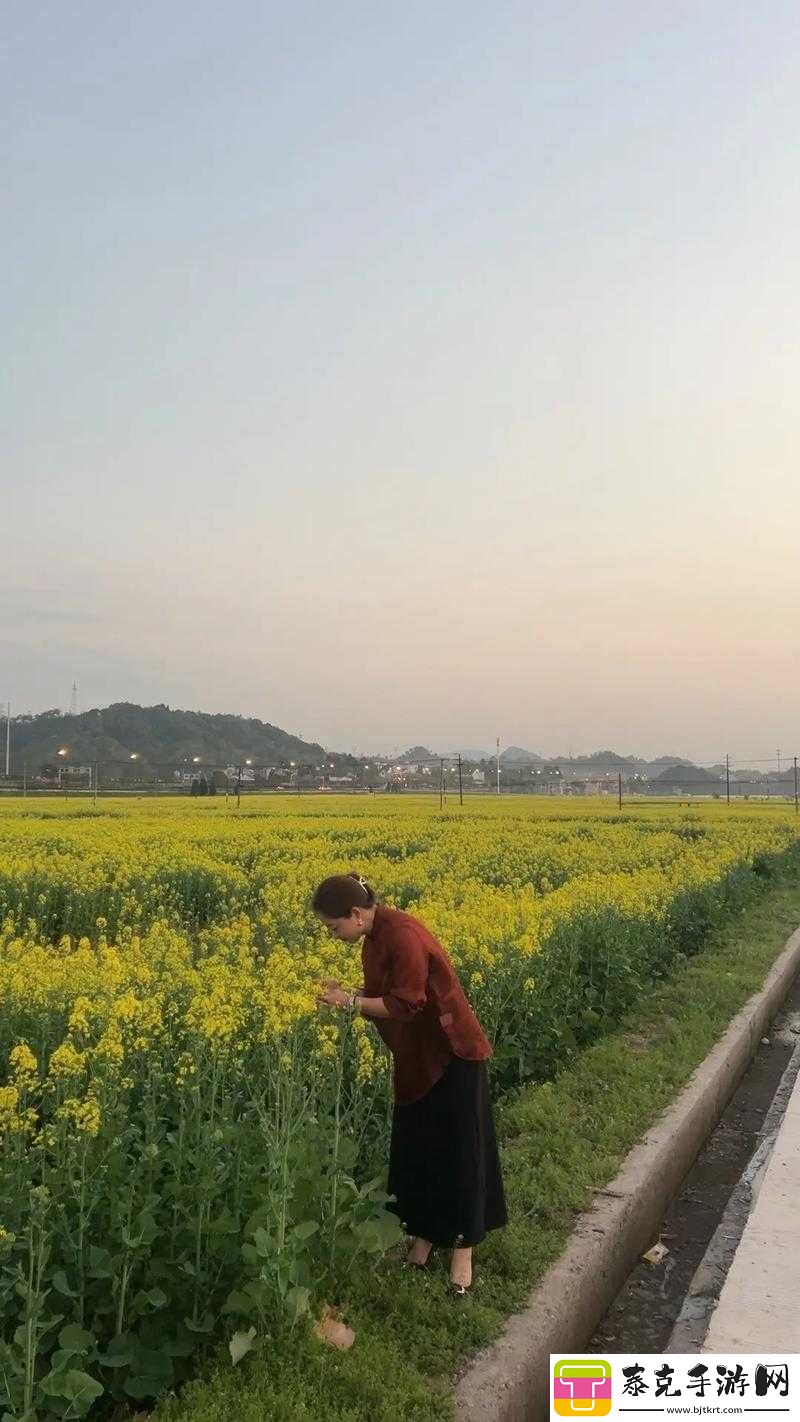 国产手机拍视频推荐