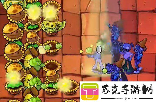 植物大战僵尸杂交版挑战模式第八关如何闯关