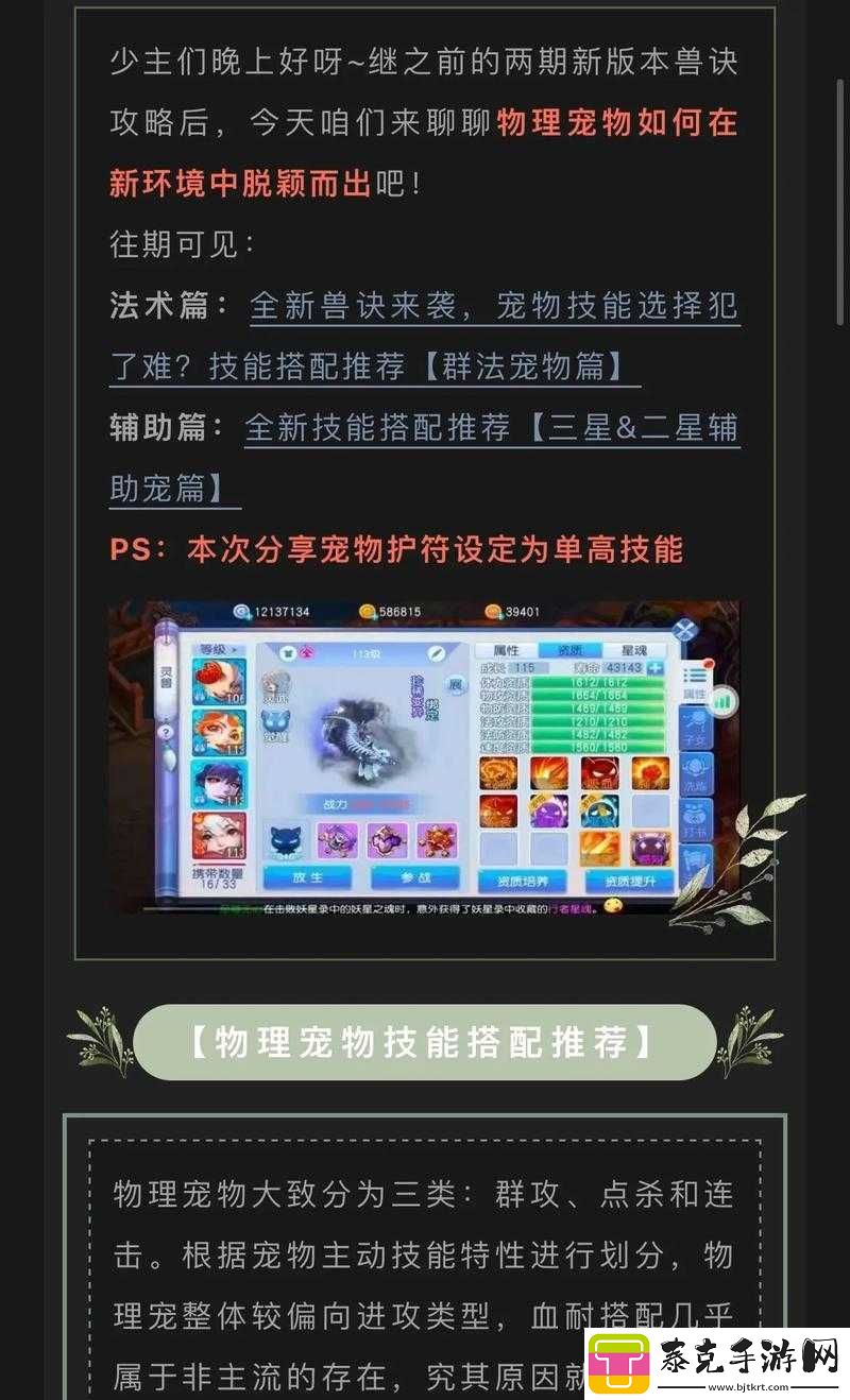桃花源记手游九儿同伴技能详细解析与使用技巧